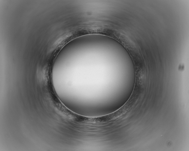 X0000094170746200710261108