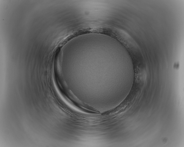 X0000094170748200710261108