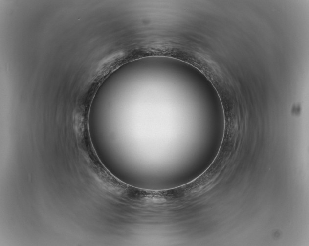 X0000094170749200710261108