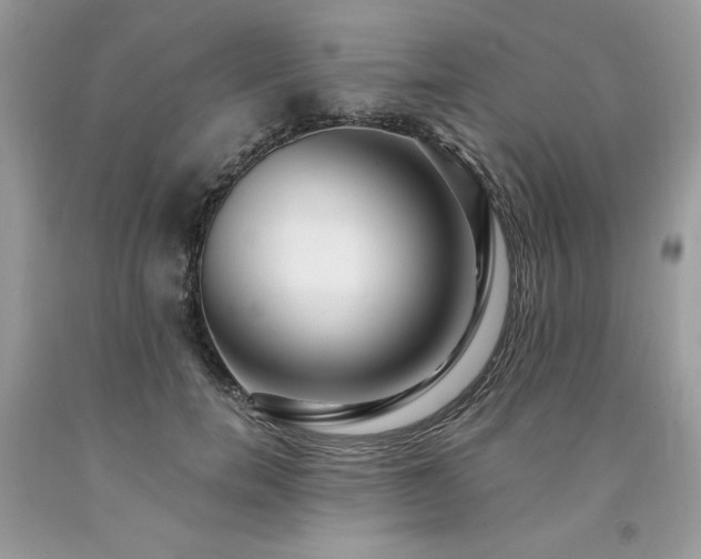 X0000094170750200710261108
