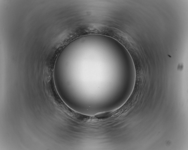 X0000094170751200710261108