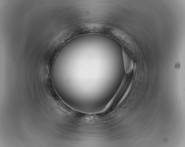 X0000094170752200710261109