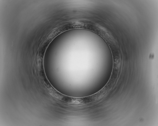 X0000094170753200710261109