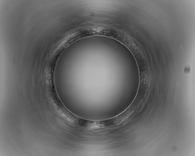 X0000094170754200710261109