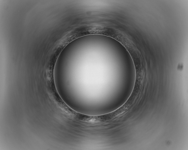 X0000094170755200710261109