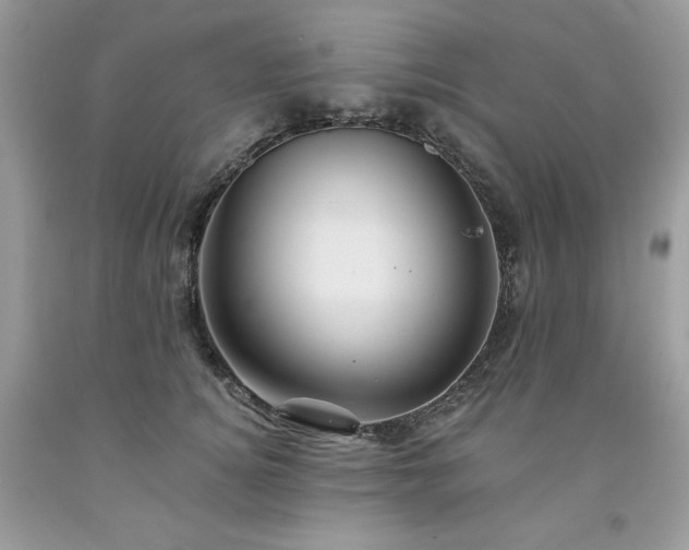 X0000094170756200710261109