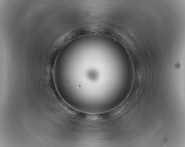 X0000094170757200710261109