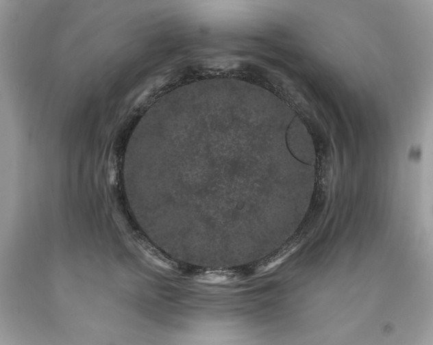 X0000094170758200710261109