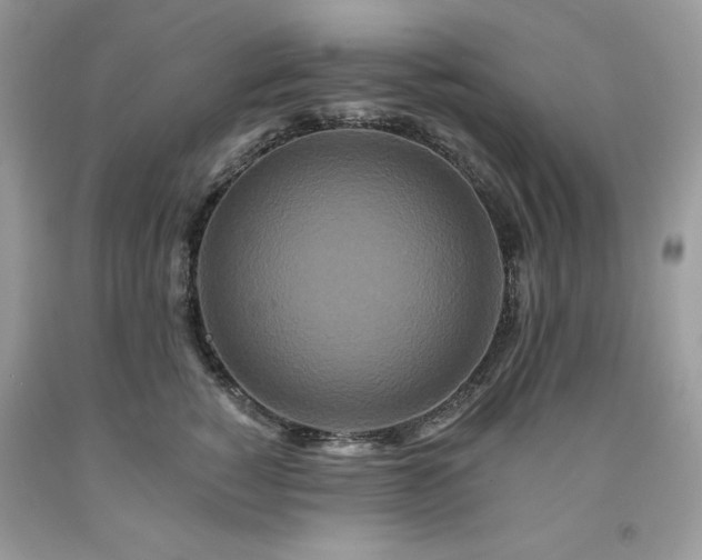 X0000094170760200710261109