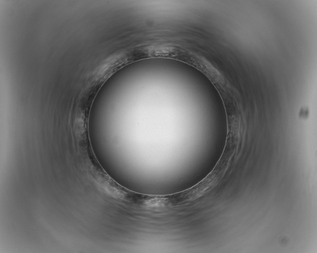 X0000094170761200710261109