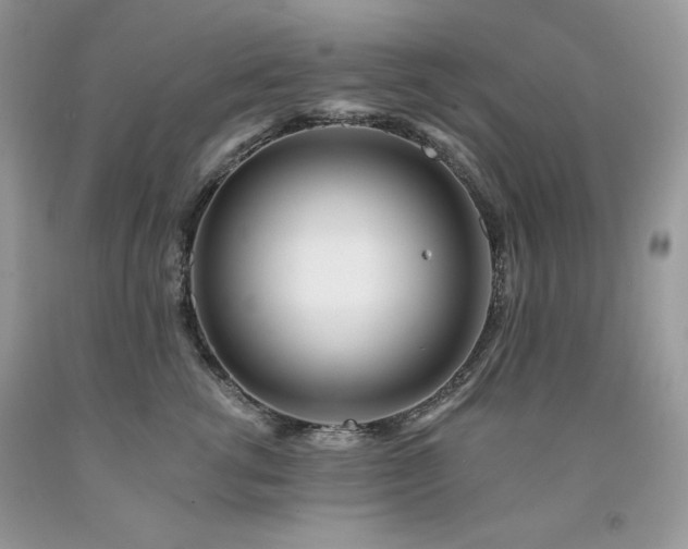 X0000094170762200710261109