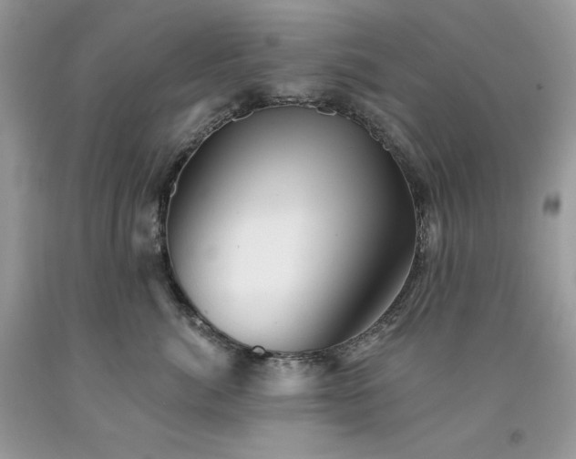 X0000094170764200710261109