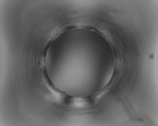 X0000094170766200710261109