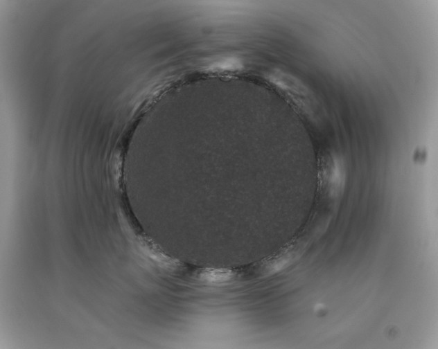 X0000094170767200710261109