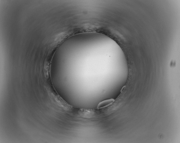 X0000094170768200710261109