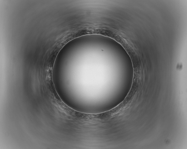 X0000094170770200710261108