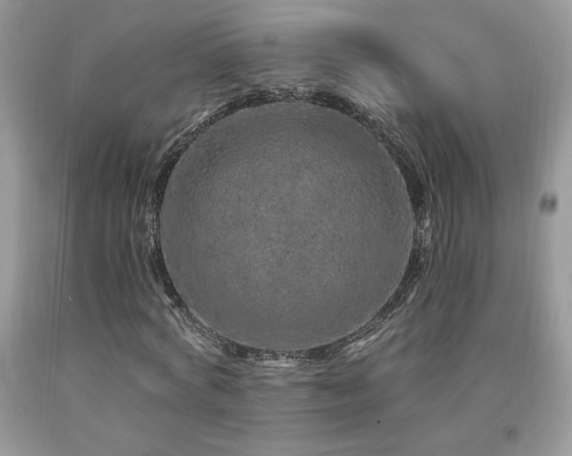 X0000094170772200710261108