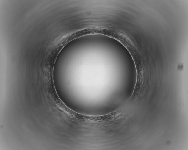 X0000094170773200710261108