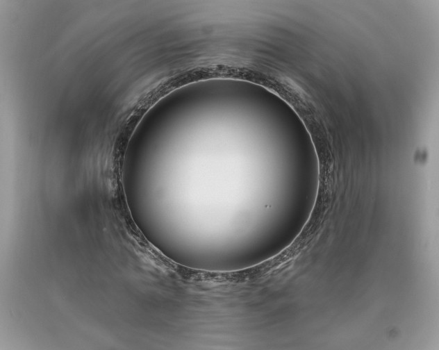 X0000094170774200710261108