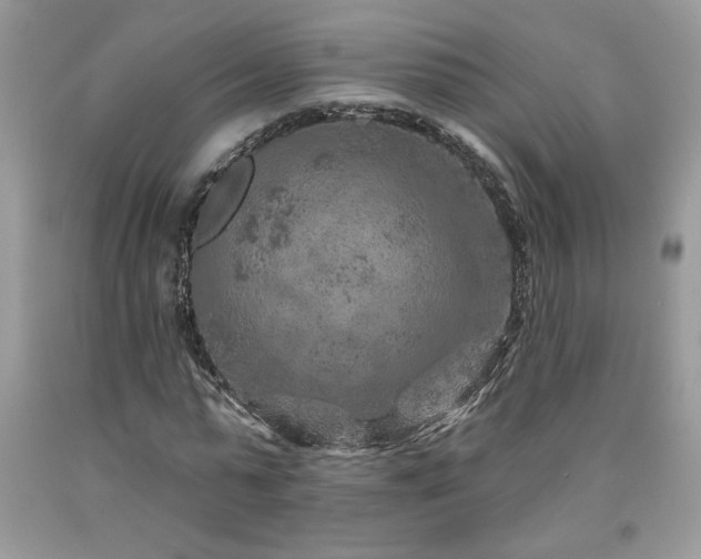 X0000094170775200710261108