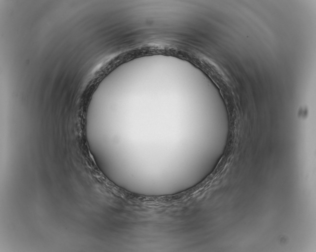 X0000094170776200710261108