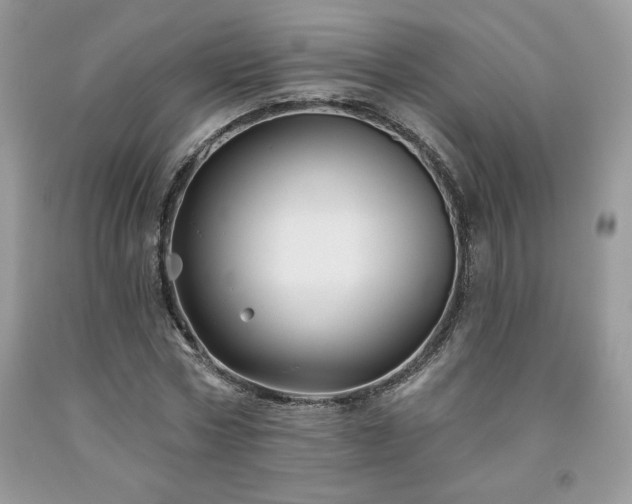 X0000094170778200710261108