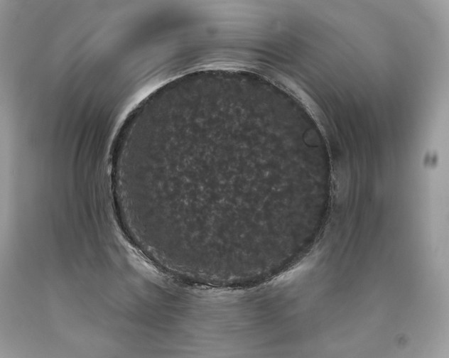X0000094170779200710261108