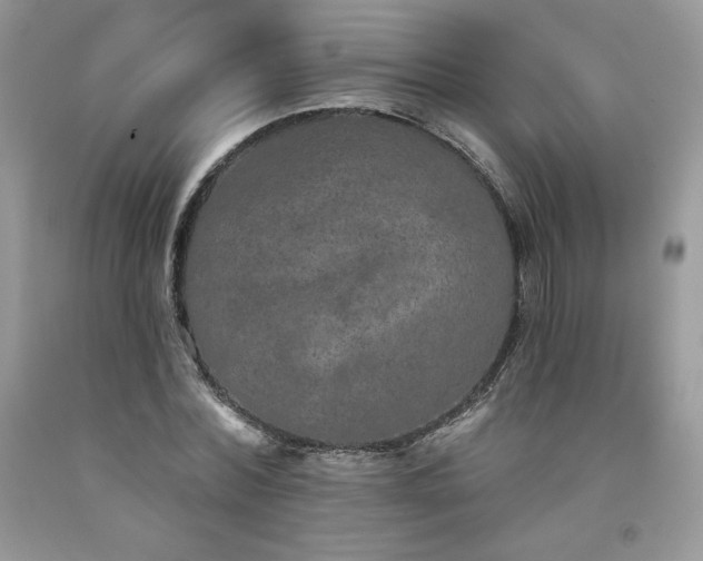 X0000094170780200710261108