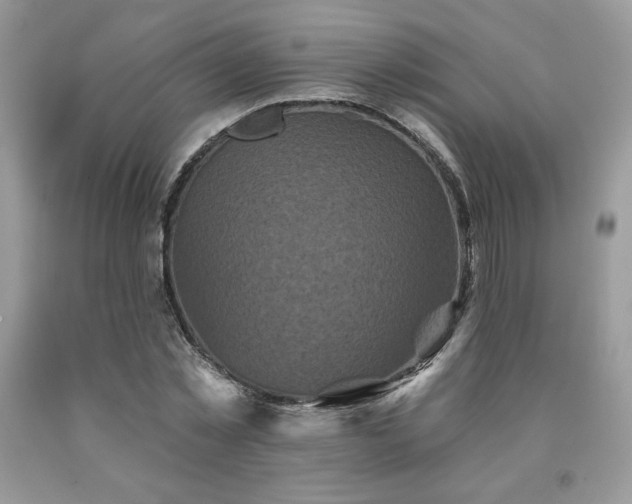 X0000094170781200710261108