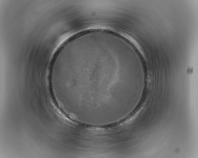 X0000094170783200710261108