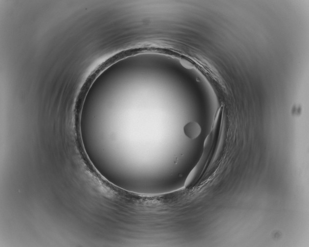 X0000094170784200710261108