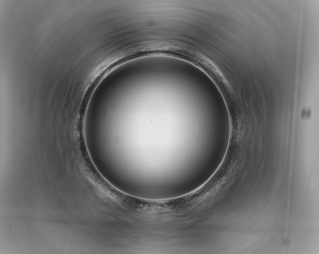 X0000094170786200710261108