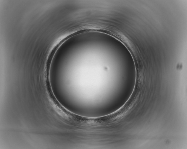 X0000094170787200710261108