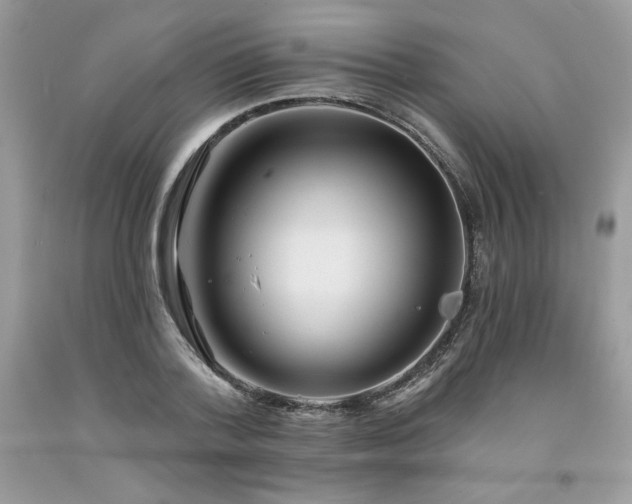 X0000094170788200710261108