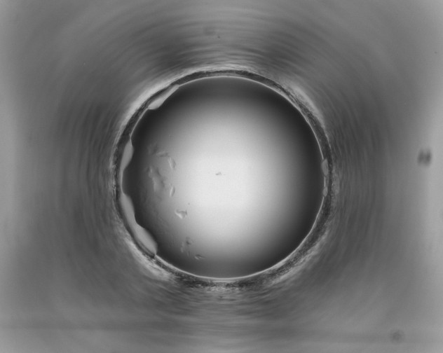 X0000094170789200710261108