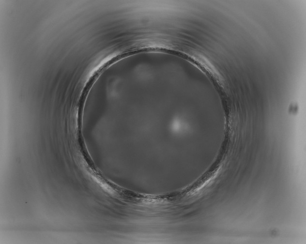 X0000094170790200710261108