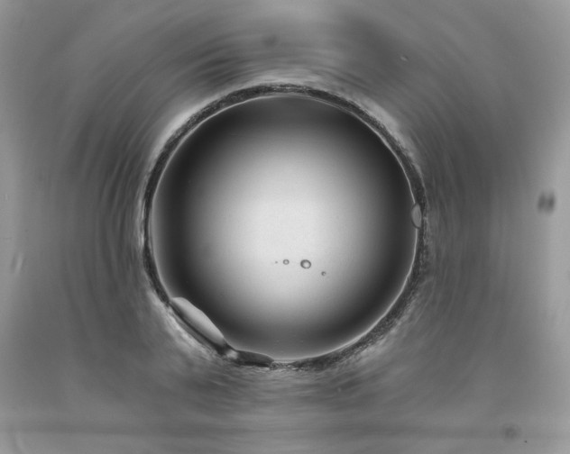 X0000094170791200710261108