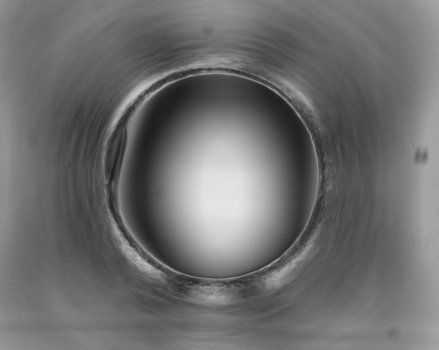 X0000094170792200710261108