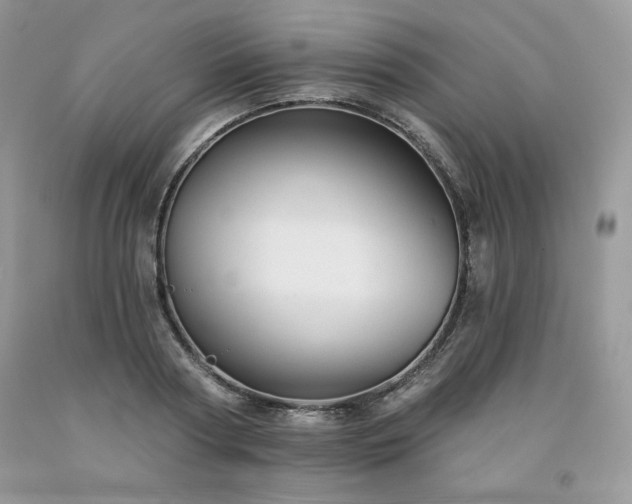 X0000094170794200710261108