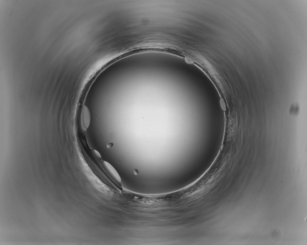 X0000094170795200710261108