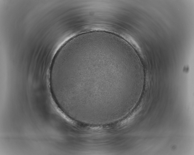 X0000094170798200710261107
