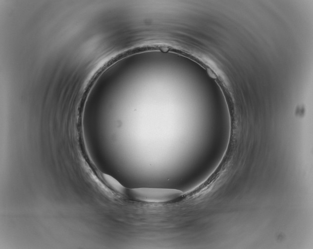 X0000094170799200710261107