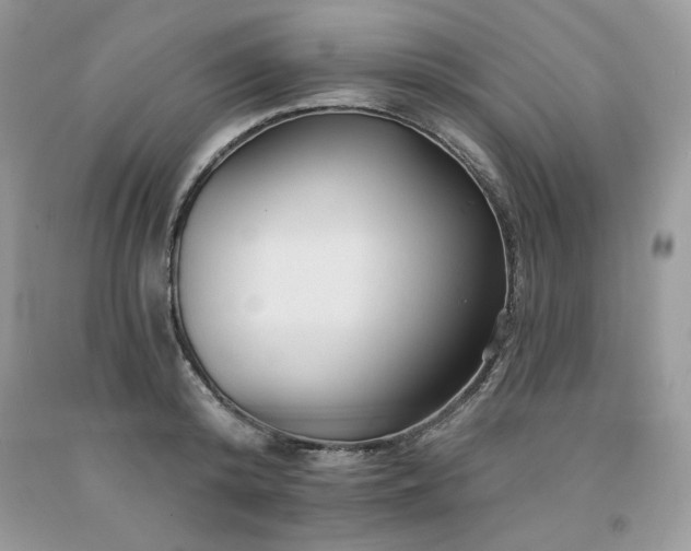 X0000094170800200710261107