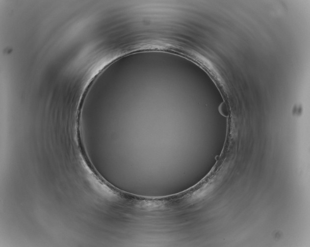 X0000094170802200710261107