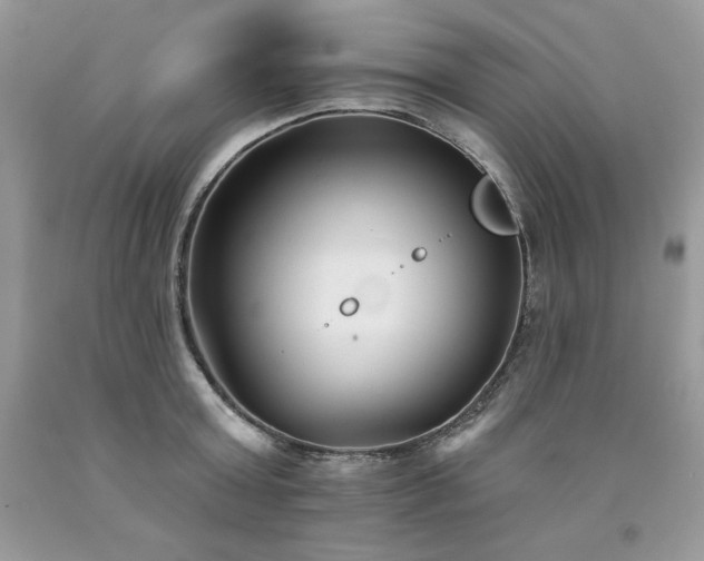 X0000094170803200710261107