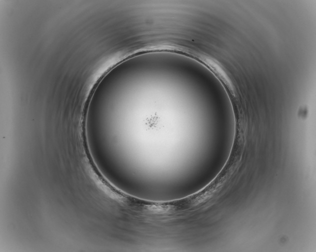 X0000094170805200710261107