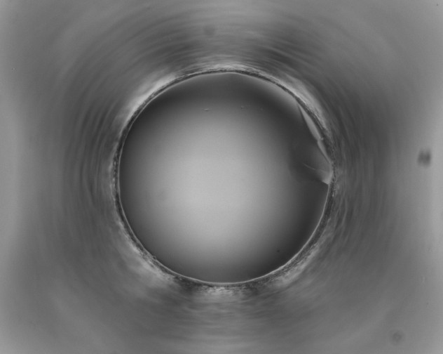 X0000094170806200710261107