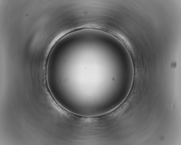 X0000094170808200710261107