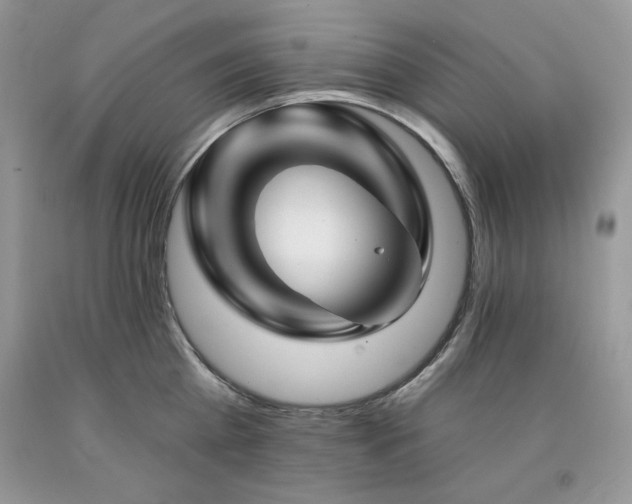 X0000094170809200710261107