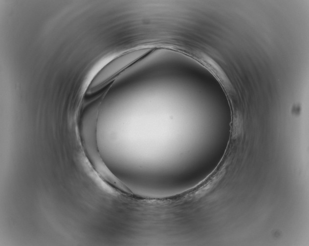 X0000094170812200710261107